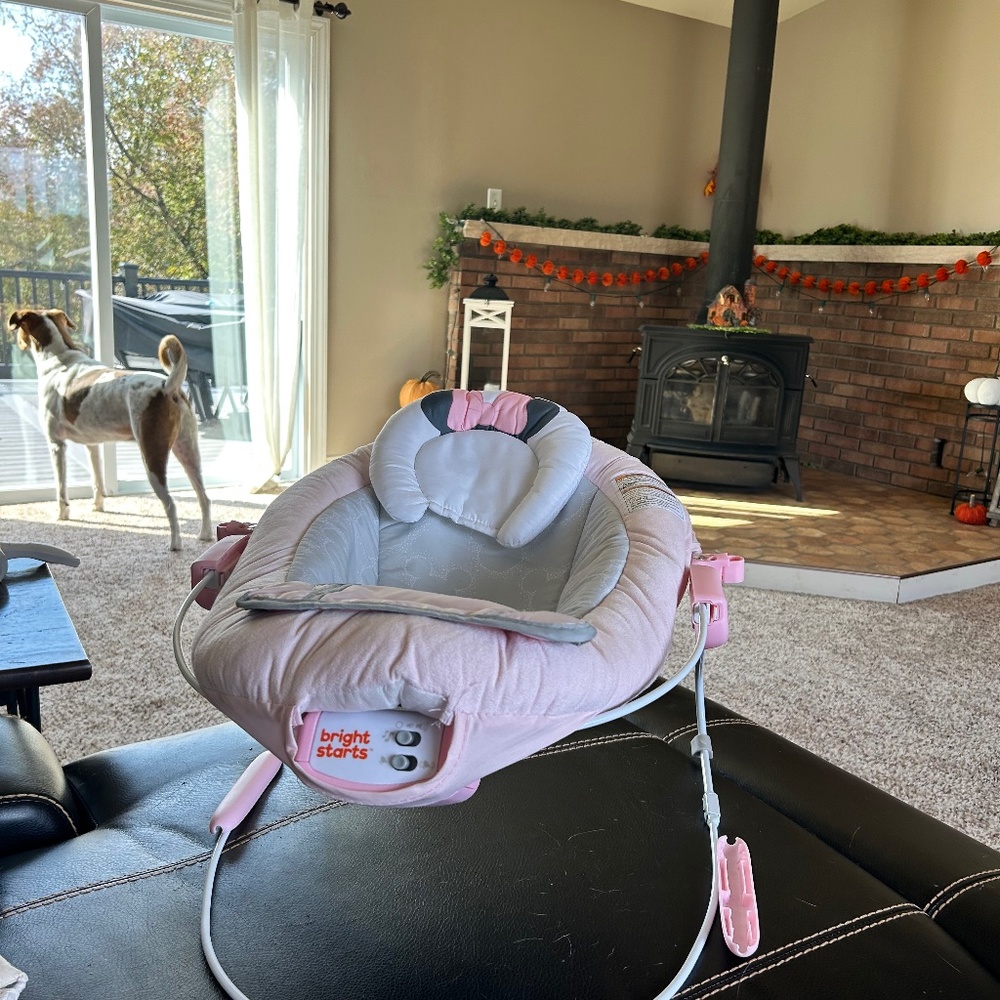 Baby bouncer